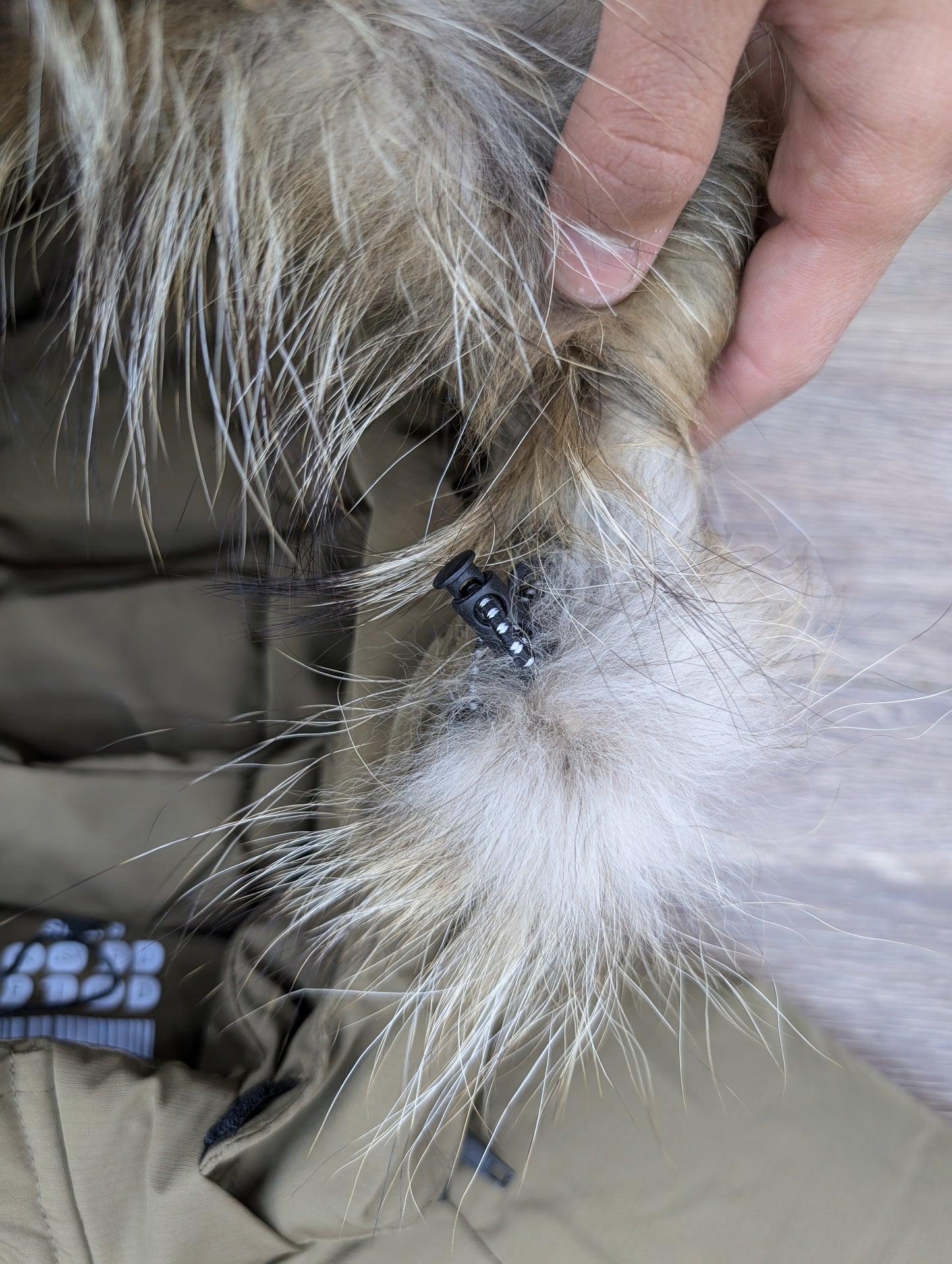 veste pour garçon 5